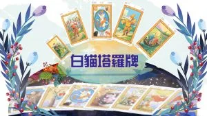 白貓塔羅牌基礎課